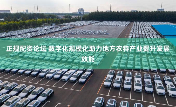 正规配资论坛 数字化规模化助力地方农特产业提升发展效能
