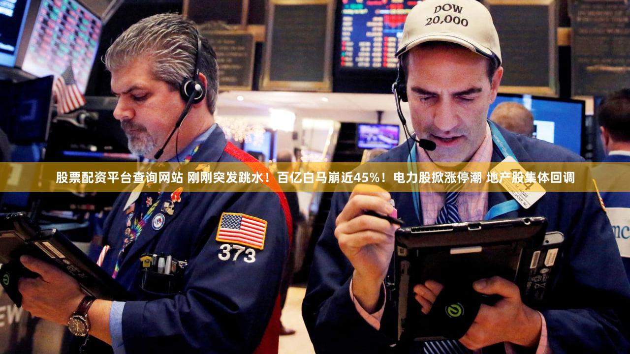 股票配资平台查询网站 刚刚突发跳水！百亿白马崩近45%！电力股掀涨停潮 地产股集体回调