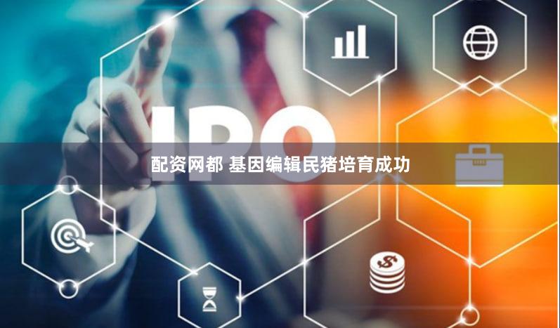 配资网都 基因编辑民猪培育成功