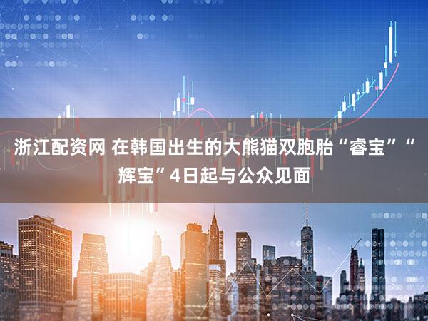 浙江配资网 在韩国出生的大熊猫双胞胎“睿宝”“辉宝”4日起与公众见面